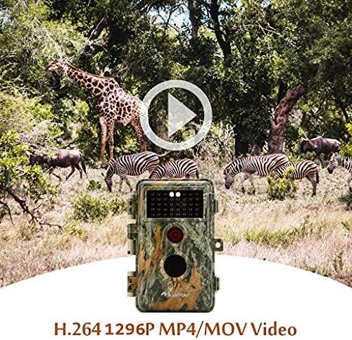 Paquete de 5 cámaras de juego y sendero de 24 MP 1296P H.264 MP4 Video de  visión nocturna de 75 pies Lapso de tiempo de vida silvestre, cámaras de