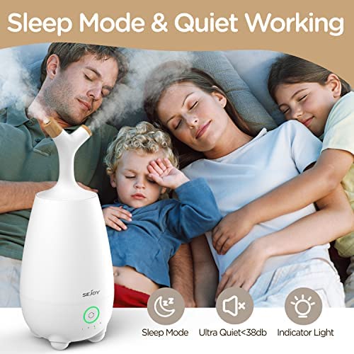 Sejoy Humidificadores para dormitorio, habitación grande, 5 L, silencioso,  ultrasónico, humidificador de niebla cálida y fría, apagado automático